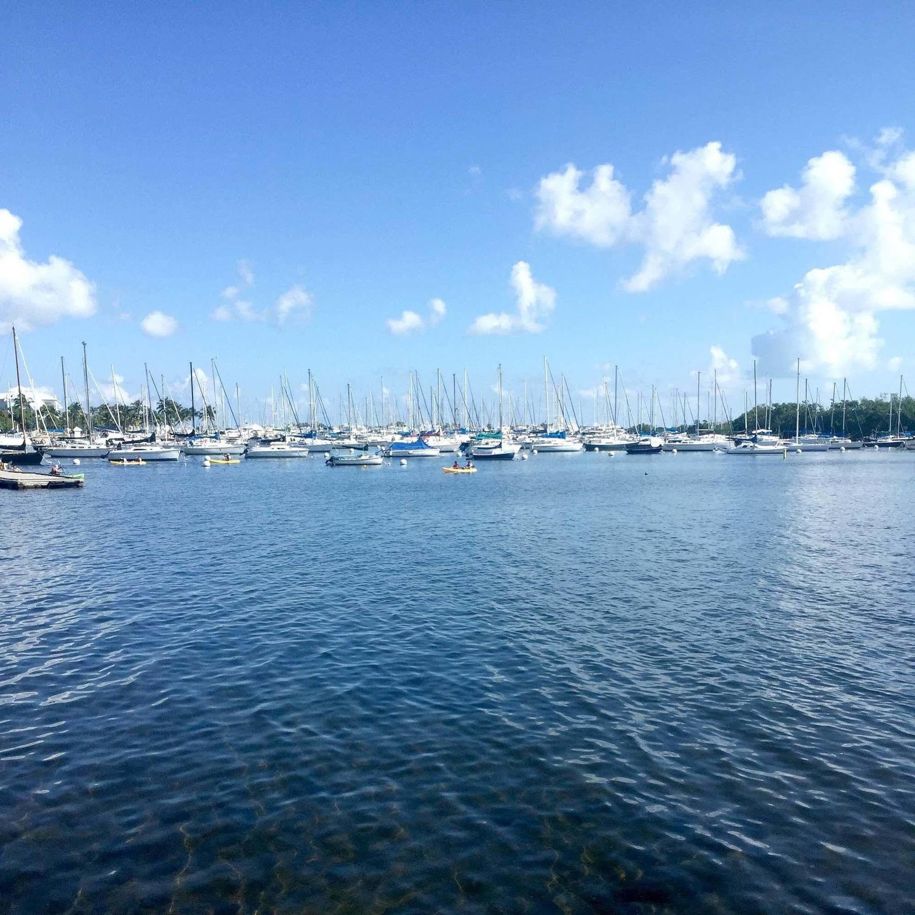 Pelicanstay In Coconut Grove Miami Coral Gables Eksteriør billede